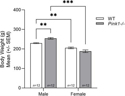 Predictors of prodromal Parkinson’s disease in young adult Pink1−/− rats